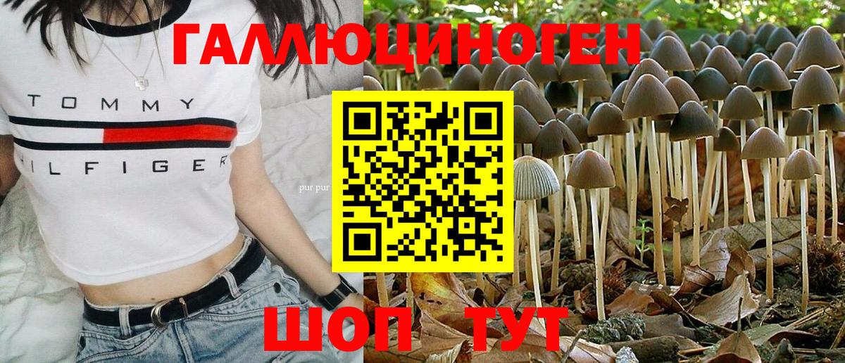 Псилоцибиновые грибы Cubensis  Вход с VPN  Лениногорск 