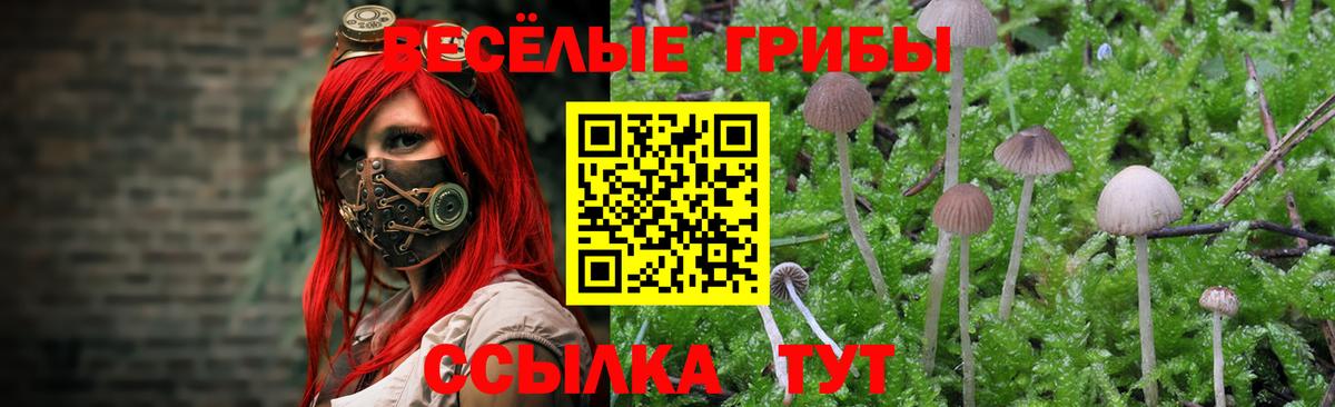 Псилоцибиновые грибы мицелий Лениногорск